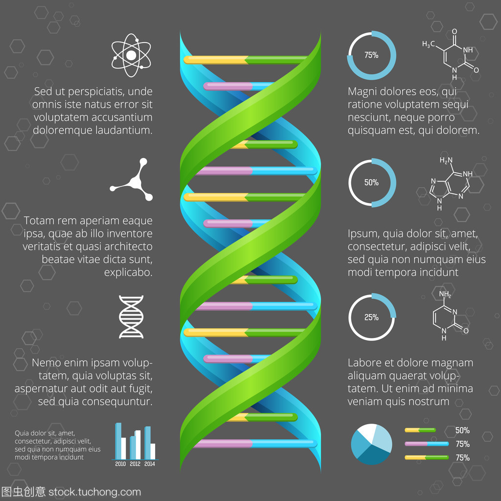 醫(yī)學和生物學研究 Dna 結(jié)構(gòu)的圖表模板