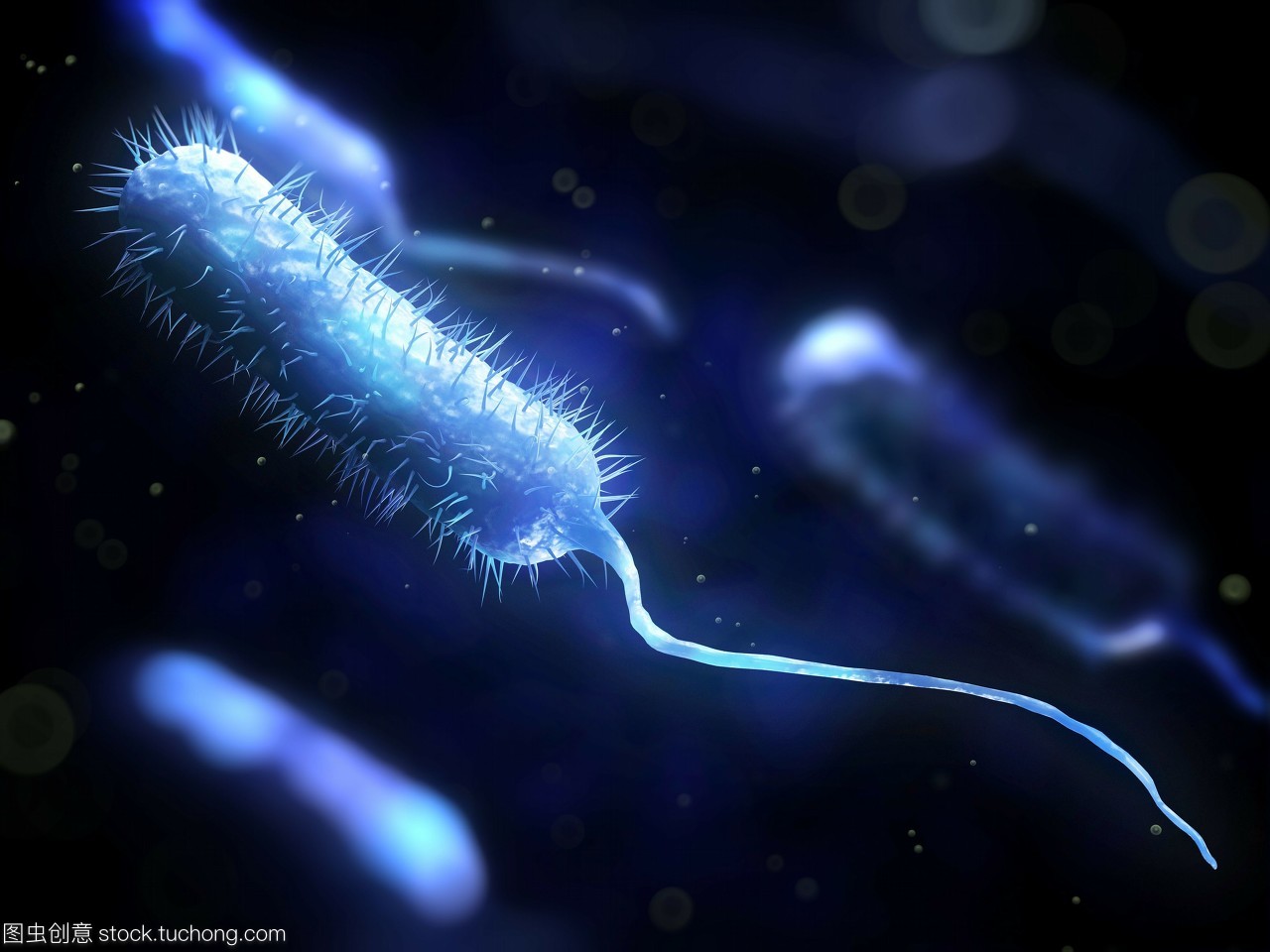 危險,粘貼,微生物,生物學,概念,細菌學,風險,棍,healthcare,artwork,手機,illustration,科技醫(yī)療,microbiology,棒,rod shape,infection,桿,細菌性的,植物學,病菌,rod shaped,活力,dangerous,活躍,細菌,mobile,木棒,醫(yī)療保健,疾病,rod,生長,conceptual,尾巴,bacilli,pathogen,藝術(shù)品,微生物學,bacillus,concept,bacteriology,microbe,active,