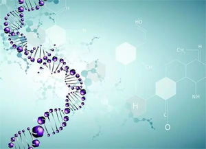 哥大生物碩博學(xué)姐全面系統(tǒng)介紹生科,生物技術(shù),生統(tǒng)申請(qǐng)及發(fā)展路徑