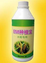 廣州以諾生物科技推出‘em種植寶’水稻專用產(chǎn)品，助力綠色農(nóng)業(yè)發(fā)展